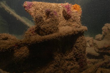 Filipinler Denizi 'ndeki deniz kirliliği metaller ve diğer çöpler