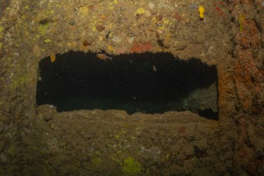 Filipinler Denizi 'ndeki deniz kirliliği metaller ve diğer çöpler