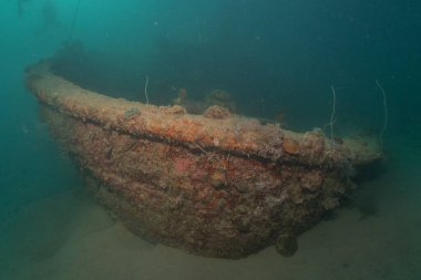 Filipinler Denizi 'ndeki deniz kirliliği metaller ve diğer çöpler