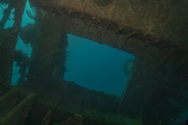 Filipinler Denizi 'ndeki deniz kirliliği metaller ve diğer çöpler