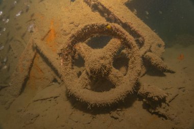 Filipinler Denizi 'ndeki deniz kirliliği metaller ve diğer çöpler