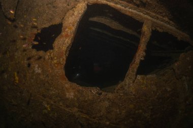 Filipinler Denizi 'ndeki deniz kirliliği metaller ve diğer çöpler