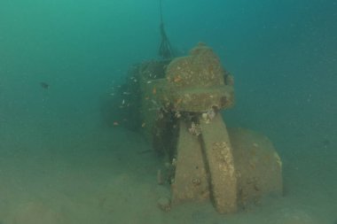 Metallerdeki deniz kirliliği ve Kızıldeniz 'deki diğer çöpler