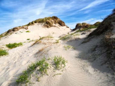 Fort Mahon 'daki kum tepeleri, Fransa' nın kuzeyindeki Hauts-de-France Somme bölgesinde bir komün.. 