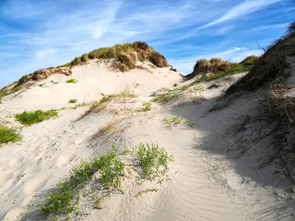 Dunes Vid Fort Mahon Kommun Somme Departement Hauts France Norra — Stockfoto