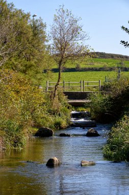 Treauville 'deki La Dielette deresi, Fransa' nın kuzeybatısındaki Normandiya 'daki Manche Bölümü' nde bir komün.. 