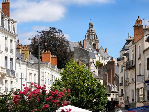 Staden Blois Med Klocktornet Saint Louis Cathedral Blois Kommun Och Stockbild