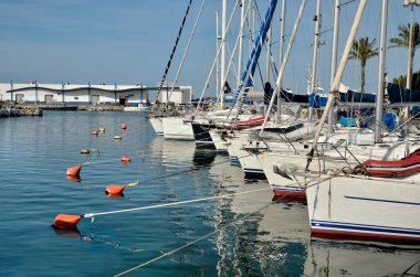 Saint-Cyprien Marina, Fransa 'nın güneyindeki Pyrnes-Orientales Bölgesi Languedoc-Roussillon Bölgesi' nde komün..