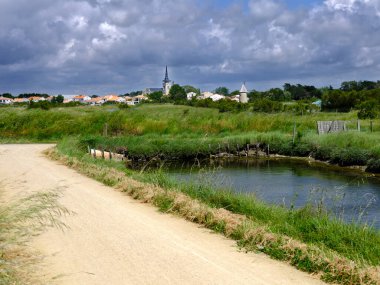 Olonne 'un kuzeyindeki Ile d' Olonne 'da bataklıklar, Fransa' nın batısındaki Pays de la Loire bölgesinde Vende bölümünde komün.