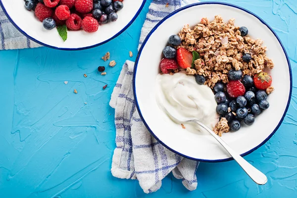 Plate Dry Granola Served Fresh Berry Fruit Yogurt Oatmeal Plate — Stock Fotó