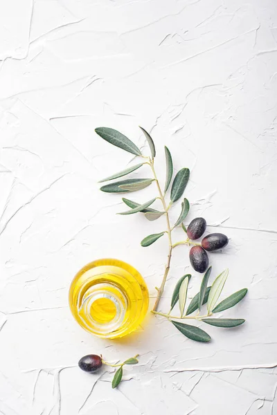 Olive Oil Olive Branch White Background — Stok Foto