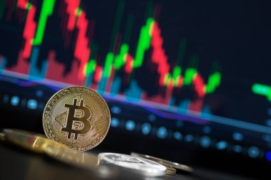 Bitcoin ve kripto para yatırım konsepti. Bitcoin şifreleme paraları. Kripto para değişimi ticareti. Bitcoin döviz kurlarındaki eğilimler. Bitcoin 'in yükseliş ve düşüş çizelgeleri.