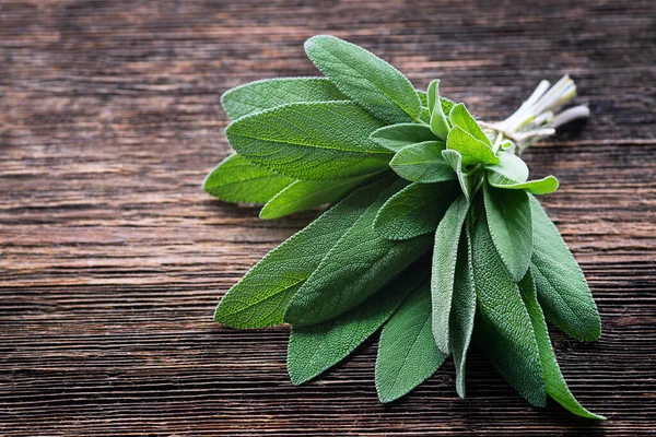 Bunch of fresh organic sage. Salvia officinalis. Sage leaves on old wooden table close-up. Garden sage. Seasonings and spices. Selective focus, copy space
