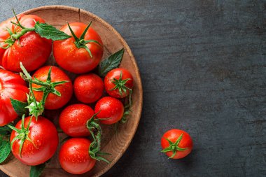 Koyu arkaplanda tabakta taze domatesler. Domates hasadı. Üst görünüm
