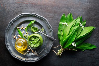 Taze Ramson ya da sarımsaklı pesto yapıyorum. Sağlıklı bahar yemekleri konsepti