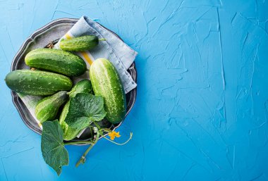 Bahçeden yeni toplanmış salatalıklar. Salatalık hasadı yazın. Yaz sebzeleri.