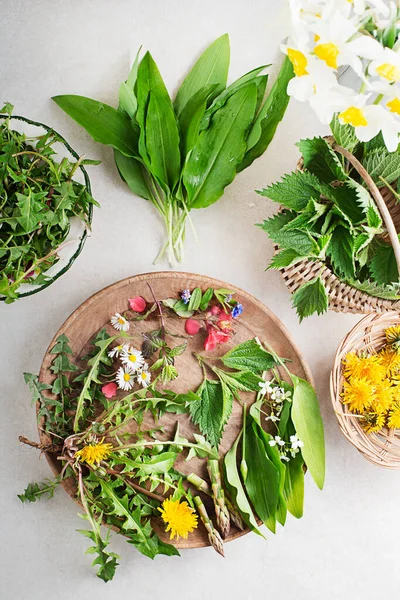 Wild garlic, nettle, dandelion and other medicinal herbs and wild edible plants growing in early spring. Spring table background with flowers, herbs and plants