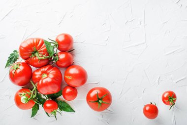 Beyaz masa zemininde taze domatesler. Domates hasadı. Sağlıklı yemek yapmak..