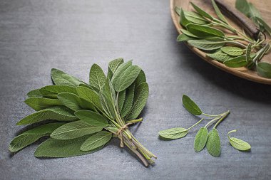 Adaçayı tabakta bırakır. Ev bahçesinden taze toplanmış adaçayı yaprakları. Şifalı bitkiler..