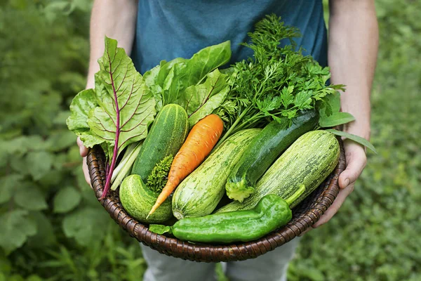 ガーデンで新鮮な野菜を収穫したバスケットを運ぶ女性 自然コンセプトの農家の背景にある野菜とバスケット — ストック写真