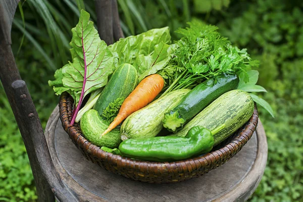 庭のバスケットで新鮮な野菜の収穫 庭は野菜を生産し 収穫した バスケットの新鮮な農場野菜 — ストック写真