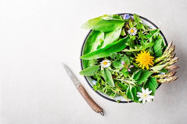 Yabani sarımsak, ısırgan otu, karahindiba ve diğer şifalı bitkiler ve ilkbaharın başlarında yetişen vahşi bitkiler. Çiçekler, otlar ve bitkilerle dolu bahar arkaplanı