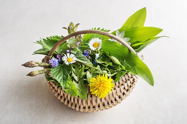 Frühling Korb Hintergrund Mit Blumen Kräutern Und Pflanzen Bärlauch Brennnessel Stockfoto