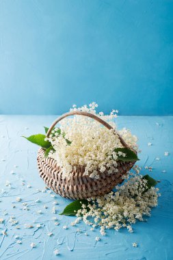 Bahçe masasındaki sepetin içinde çiçek açan yaşlı - şurup ya da yemek hazırlamak için bitkiler