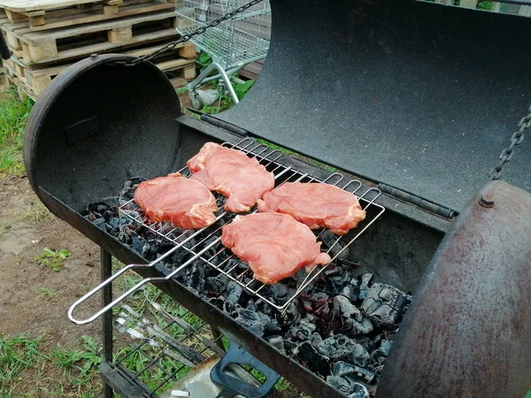 Gegrild Varkensvlees Spiesen Buiten Een Picknick — Stockfoto