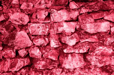 Kare bir tuğla duvarın arka planı ve dokusu. Pembe resimle boyanmış Viva Magenta, Yılın Rengi