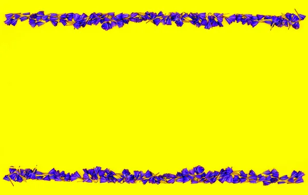 Рамка Синіх Диких Квітів Жовтому Тлі Зверху Порожнім Простором Вставки — стокове фото