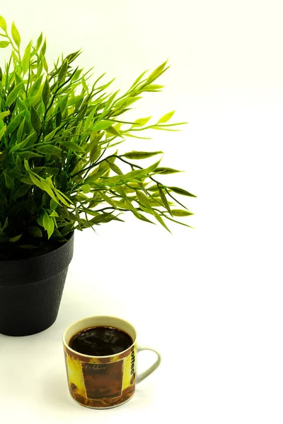 Bir Çaydanlıkta Yeşil Çiçeği Bir Fincan Kahve Fincanda Beyaz Arka — Stok fotoğraf