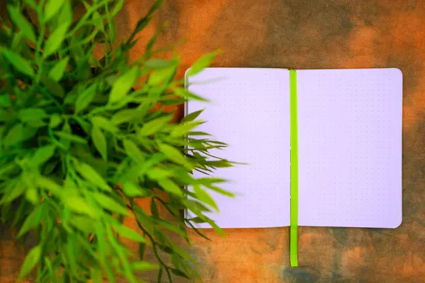 Otwarty Notatnik Notatek Zielony Kwiat Garnku Abstrakcyjnym Tle Widok Bliska — Zdjęcie stockowe