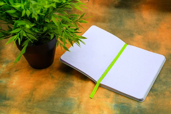 Otwarty Notatnik Notatek Zielony Kwiat Garnku Abstrakcyjnym Tle Widok Bliska — Zdjęcie stockowe