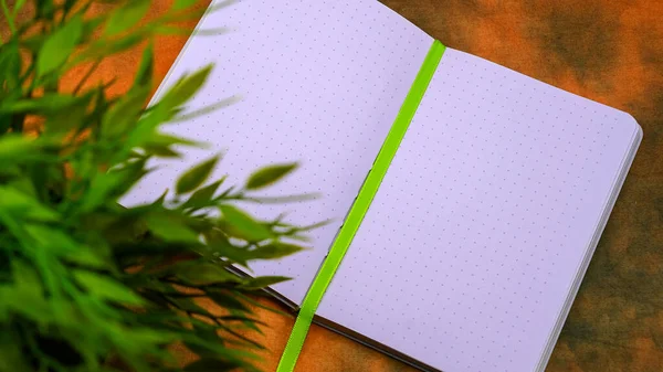 Notizbuch Für Notizen Und Eine Grüne Blume Topf Auf Abstraktem — Stockfoto