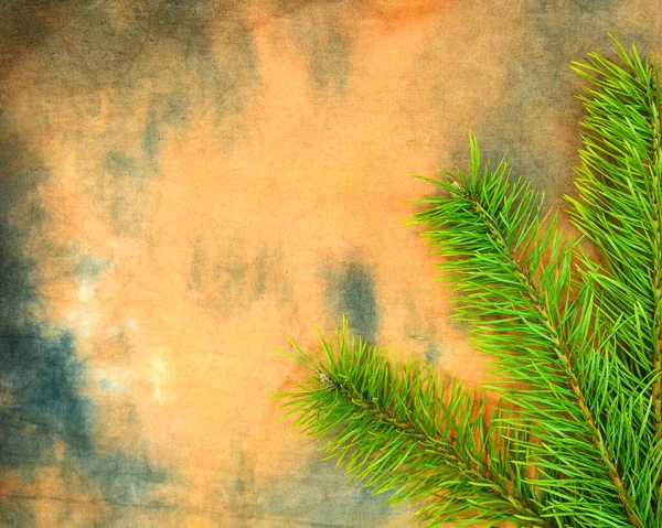 Çam Dalları Yeni Yıl Noel Metin Eklemek Için Boş Alan — Stok fotoğraf