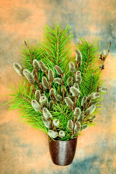 Palm Sunday Pine Willow Branches Small Vase Side View Closeup — Stock Photo, Image