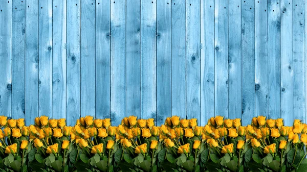 Πολλά Κίτρινα Τριαντάφυλλα Στο Φόντο Των Ξύλινων Πινάκων Μπλε Φόντο — Φωτογραφία Αρχείου