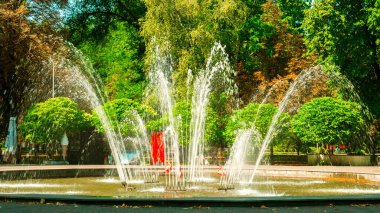 Güzel bir sonbahar eğlence parkında güzel bir manzarayla yürümek ve dinlenmek için güzel bir çeşme.