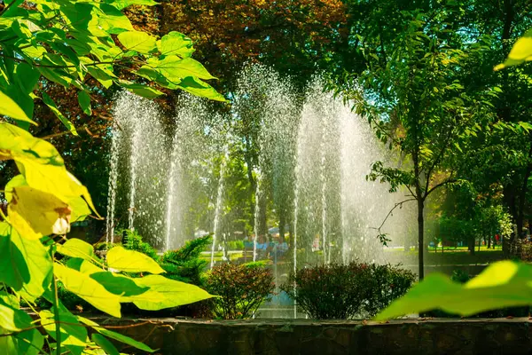城市秋季游乐园中美丽的喷泉 为您带来美丽的风景 让您散步和休闲 — 图库照片