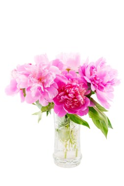 bouquet of pink peonies in a crystal vase with water close-up on a white background, side view