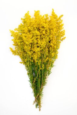 Altın sarısı çayır çiçekleri kapanıyor, beyaz arka planda izole edilmiş, yan manzara