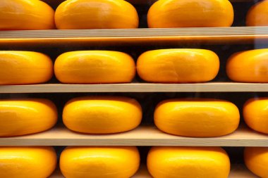 Bir rafta peynir çarkı