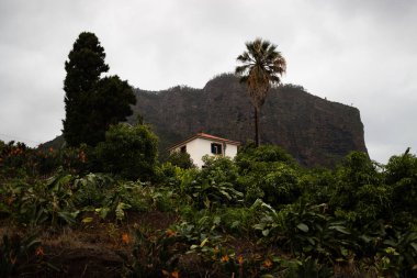 Madeira Adası 'nın arka tarafında.