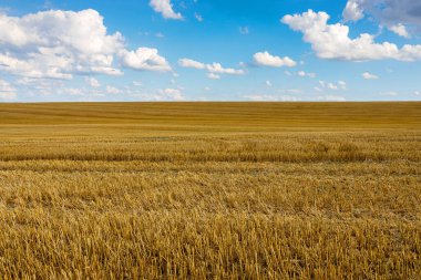 bir kuru tarla çiftçiliği arka planı