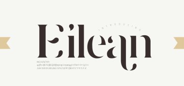 Luxury alphabet letters font. Typography elegant wedding classic lettering serif fonts decorative vintage retro. vector illustration