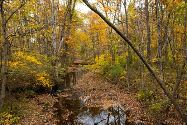 溪流蜿蜒穿过秋天的色彩 — 图库照片
