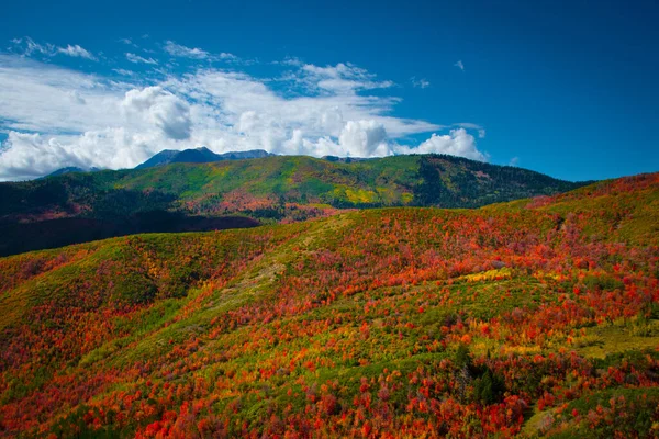 タンパゴス ハイウェイのワサッチ山脈の秋の色 ストック写真