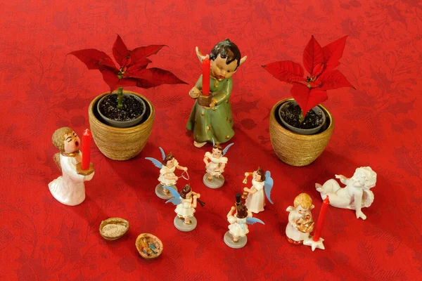 Christmas Table Decoration Angels Tini Walnut Manger Winter Roses — Stock Photo, Image