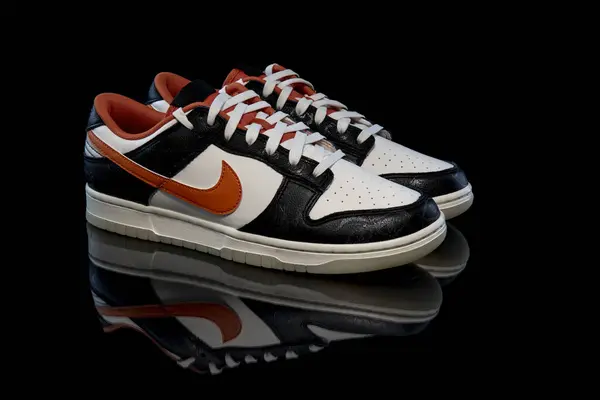 Pavia Italy March 2022 Nike Dunk Low Retro Prm Shoes Stock Photo